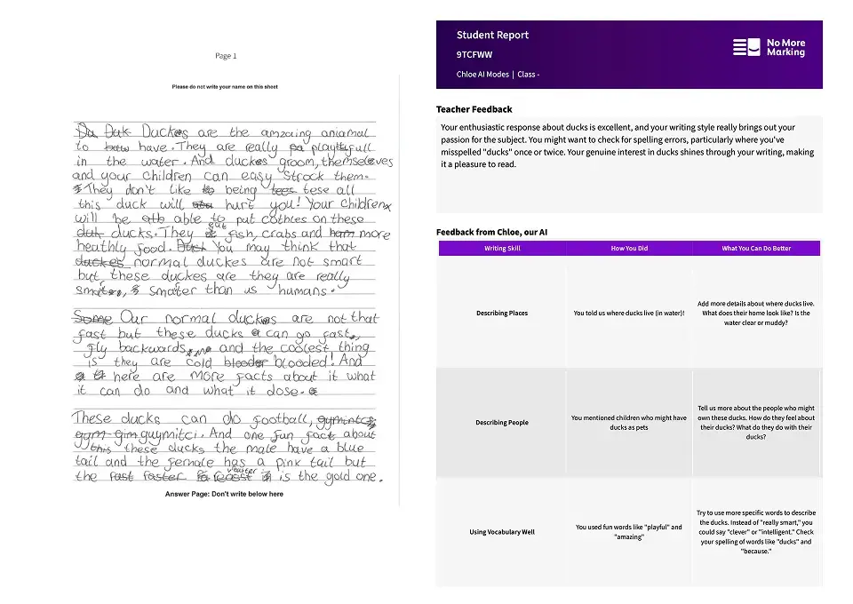 Comparative Judgement & AI 11